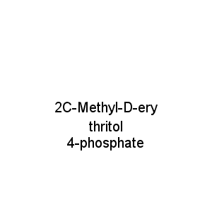 2C-Methyl-D-erythritol 4-phosphate